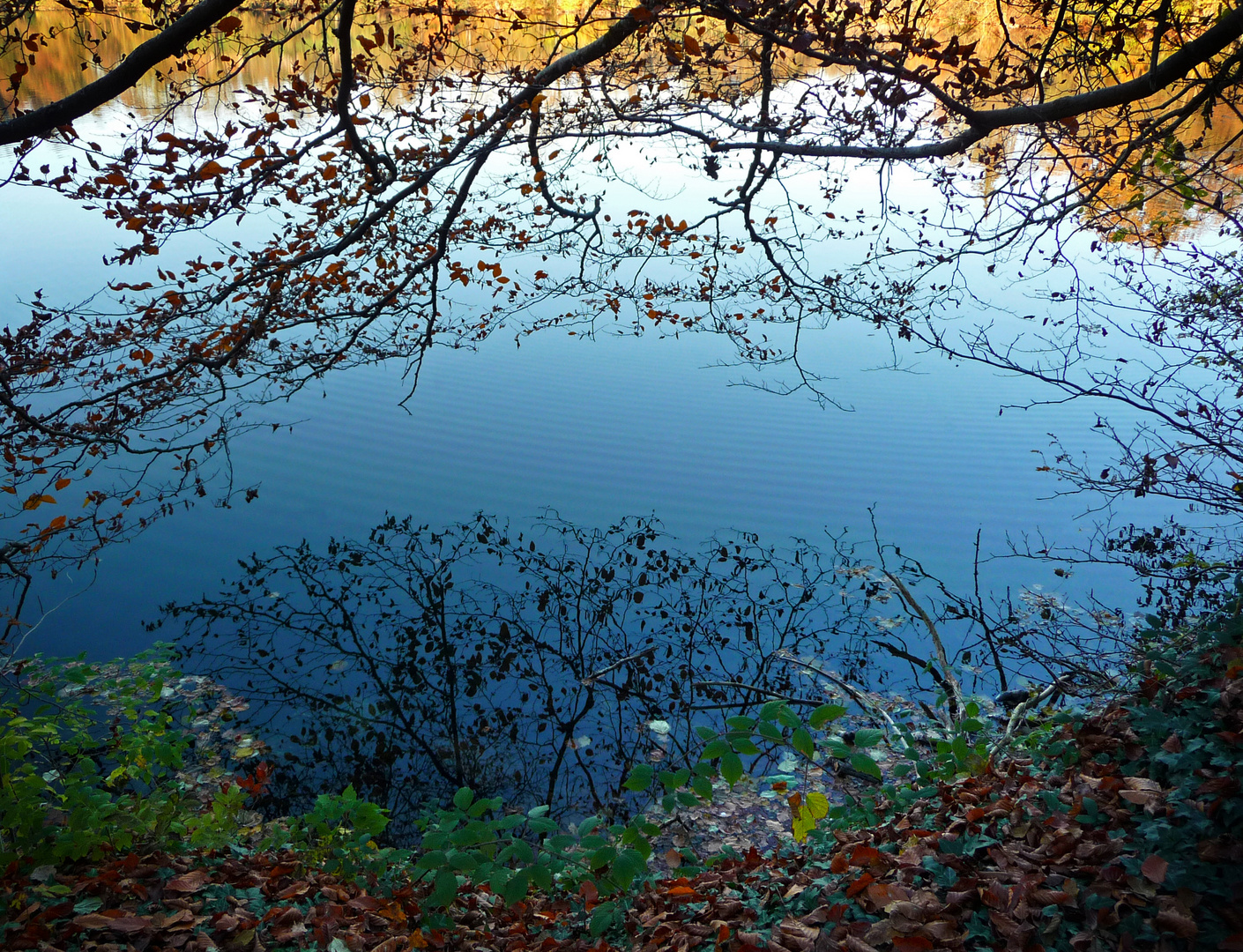 Herbstspiegelung