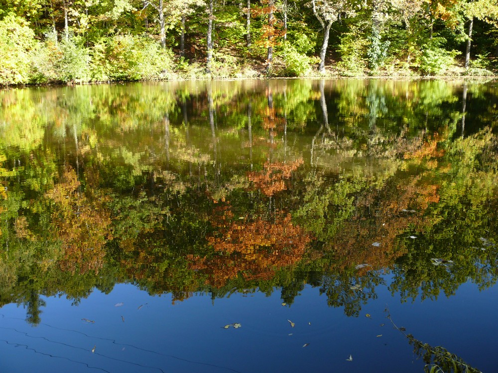 Herbstspiegelung