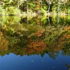 Herbstspiegelung