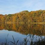 Herbstspiegelung