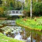 Herbstspiegelung