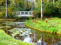 Herbstspiegelung