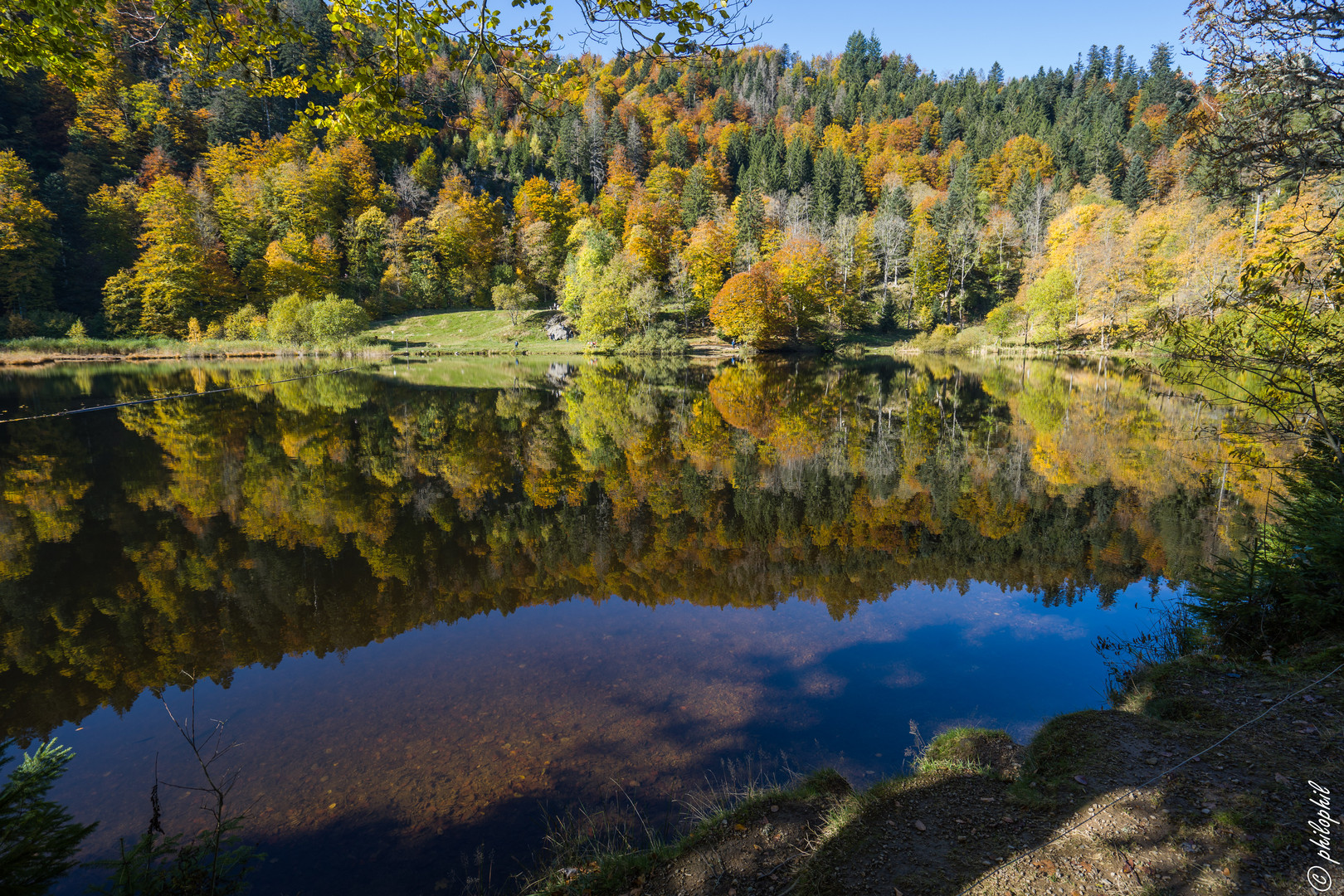 Herbstspiegelung