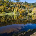 Herbstspiegelung