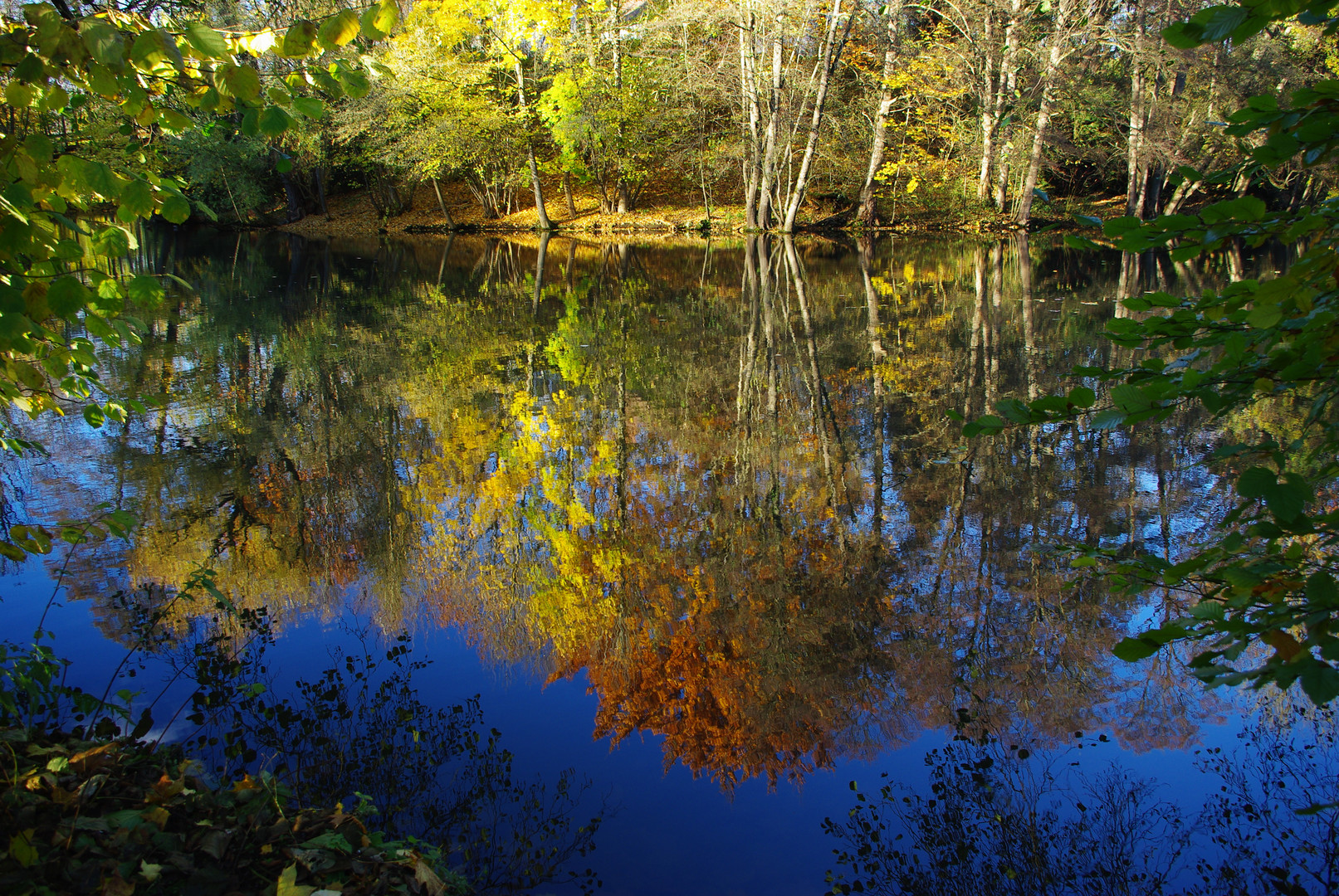 Herbstspiegelung