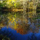 Herbstspiegelung