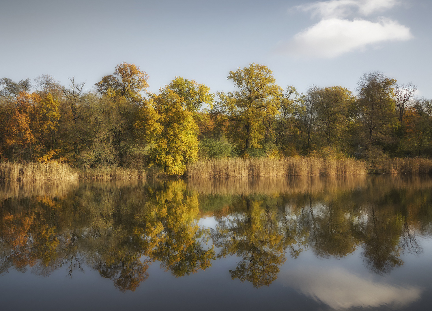 Herbstspiegelung ...