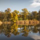 Herbstspiegelung ...