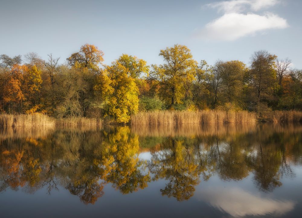 Herbstspiegelung ...