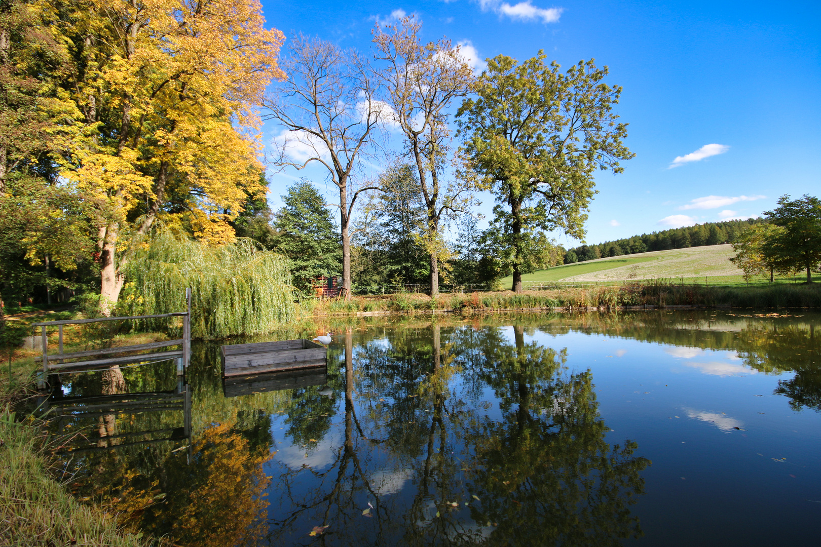 Herbstspiegelung