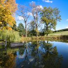 Herbstspiegelung