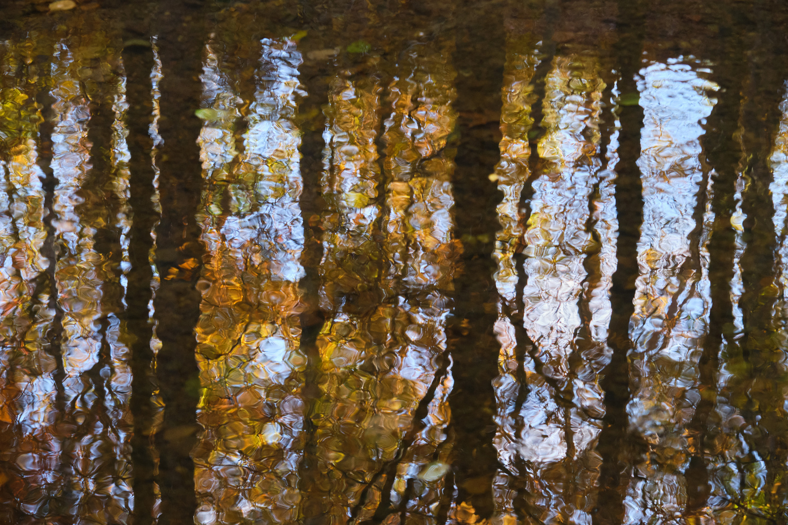 Herbstspiegelung