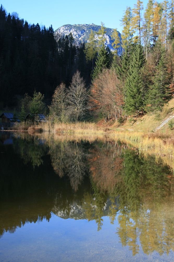 Herbstspiegelung