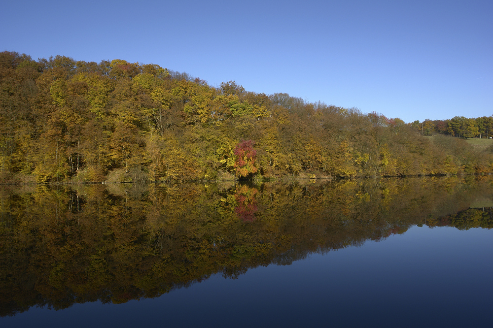 Herbstspiegelung