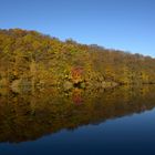 Herbstspiegelung