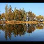 ~~ Herbstspiegelung II ~~