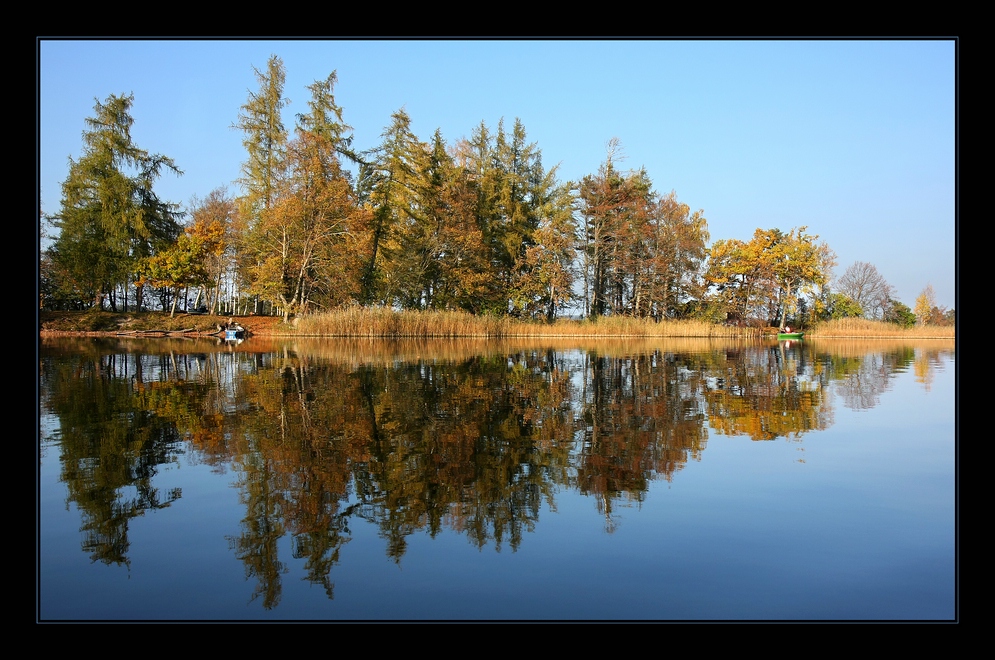 ~~ Herbstspiegelung II ~~