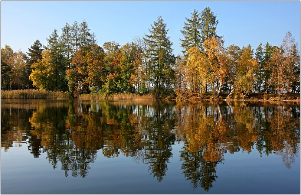 ~~ Herbstspiegelung III ~~