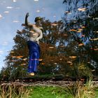 Herbstspiegelung im Branitzer Park - Cottbus