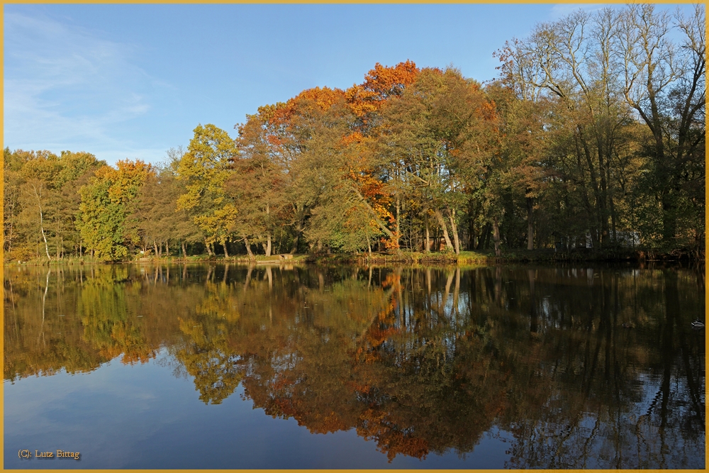 Herbstspiegelung im Dorfteich