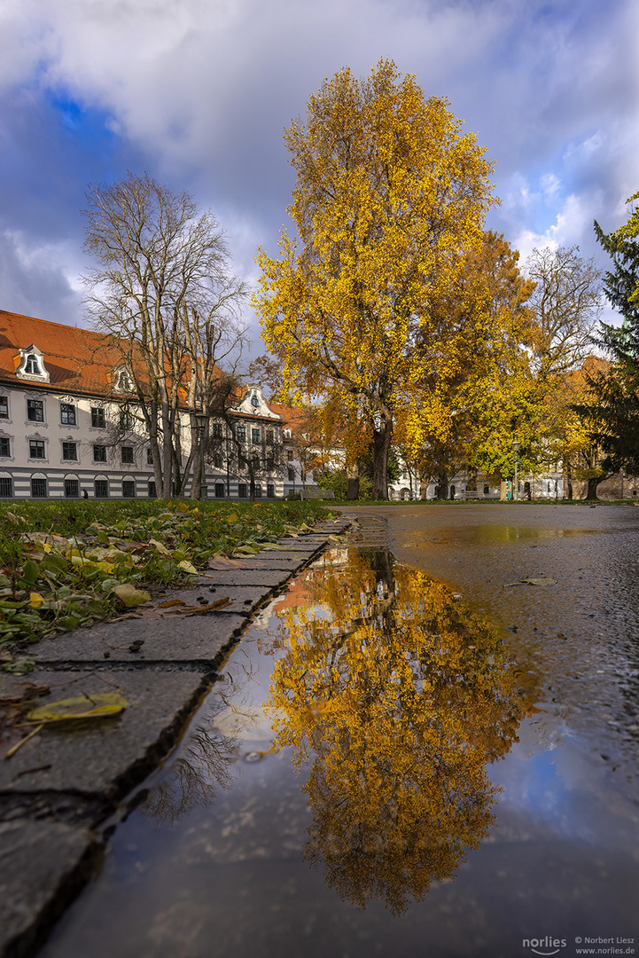 Herbstspiegelung im Fronhof