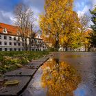 Herbstspiegelung im Fronhof