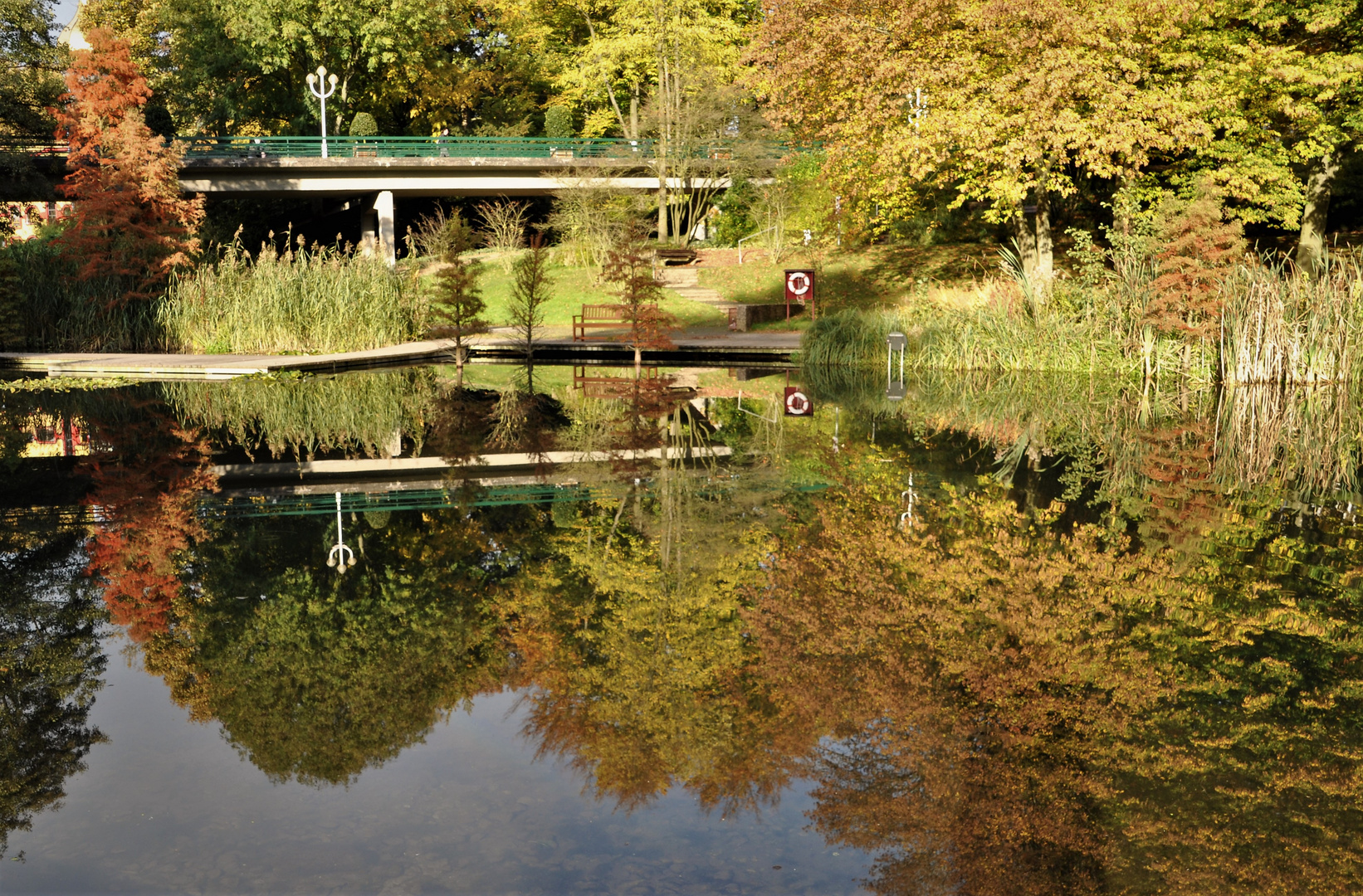  Herbstspiegelung im Grugapark in Essen