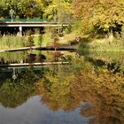  Herbstspiegelung im Grugapark in Essen