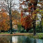 Herbstspiegelung im Park