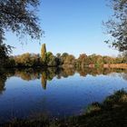 Herbstspiegelung im Rohrbruchteich.