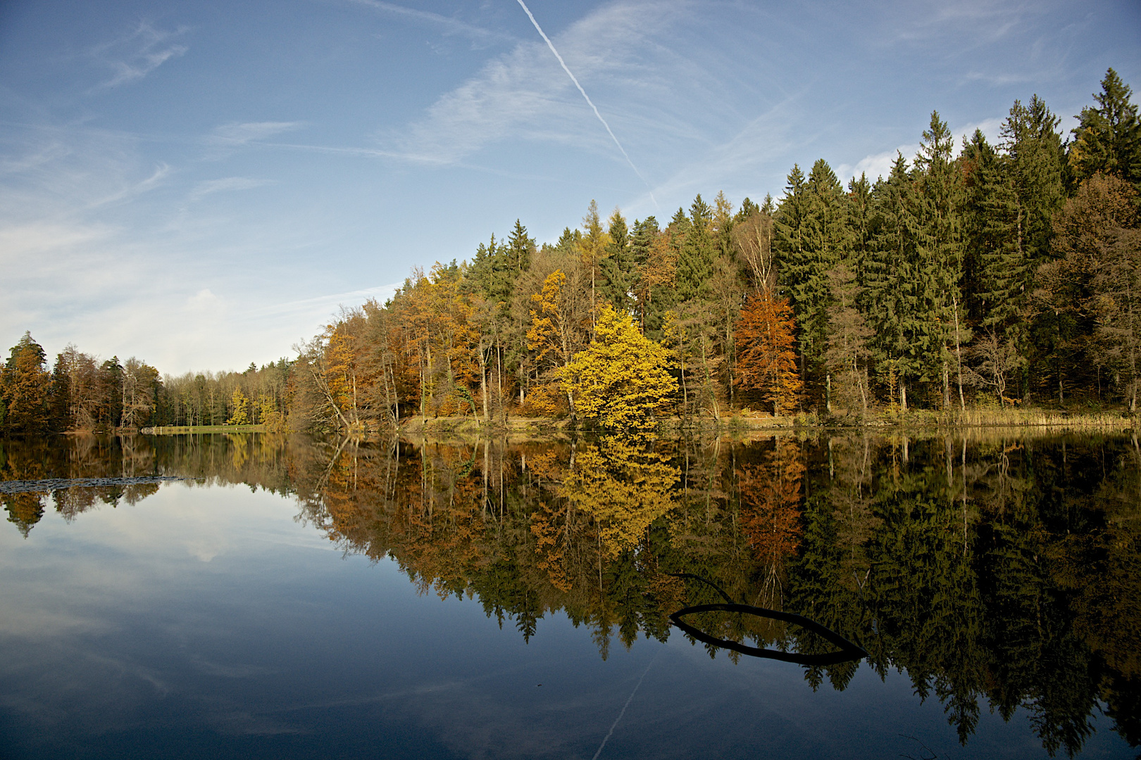 Herbstspiegelung im Waldweiher