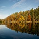 Herbstspiegelung im Waldweiher