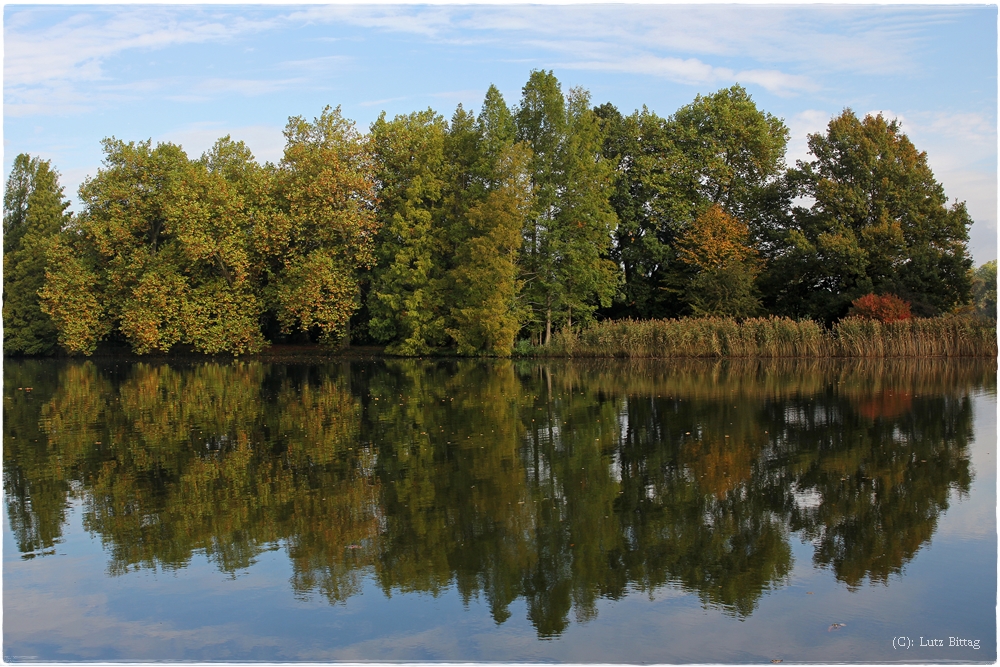 Herbstspiegelung im Wörlitzer Park