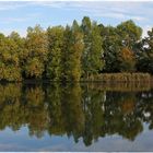 Herbstspiegelung im Wörlitzer Park