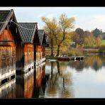 ~~ Herbstspiegelung IV~~