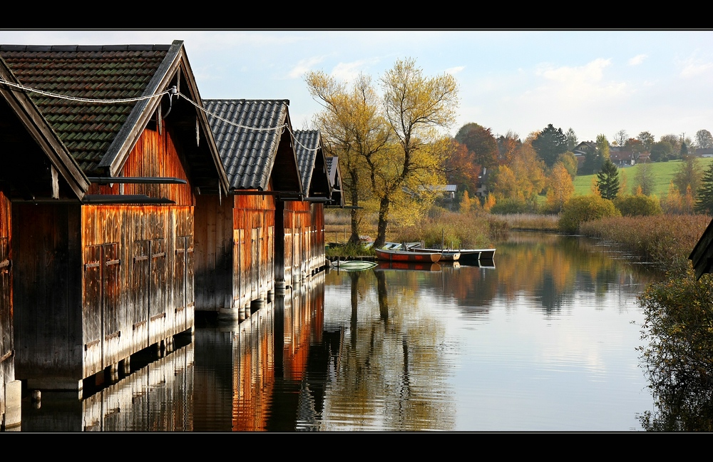 ~~ Herbstspiegelung IV~~