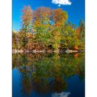 Herbstspiegelung mit Wolke