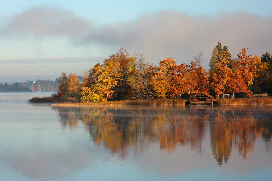 ~~ Herbstspiegelung VII ~~