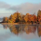 ~~ Herbstspiegelung VII ~~