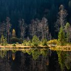 Herbstspiegelungen