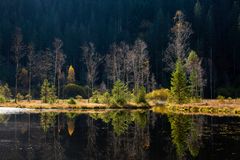 Herbstspiegelungen