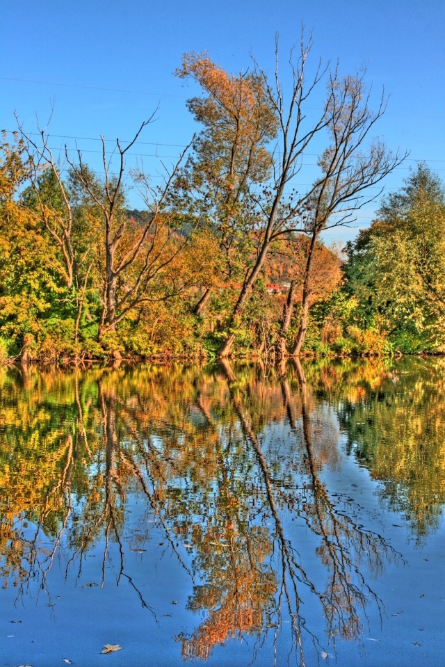 Herbstspiegelungen