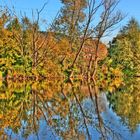 Herbstspiegelungen