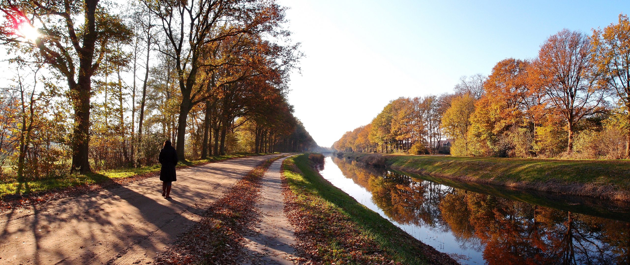 Herbstspiegelungen