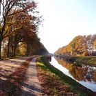 Herbstspiegelungen