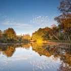 ***Herbstspiegelungen***