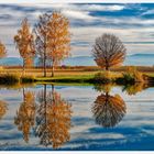 Herbstspiegelungen am See