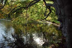 Herbstspiegelungen