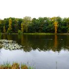 Herbstspiegelungen