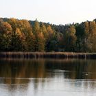 Herbstspieglungen